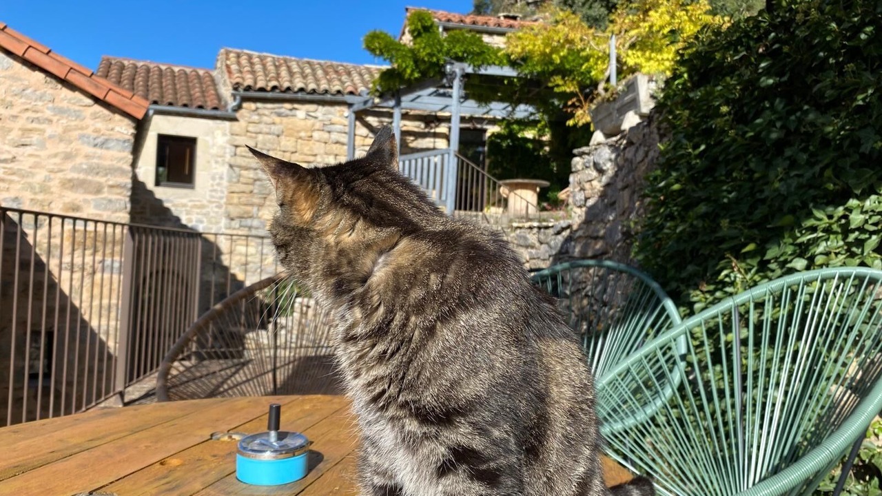 Photo of Outdoor in Riviere-sur-Tarn