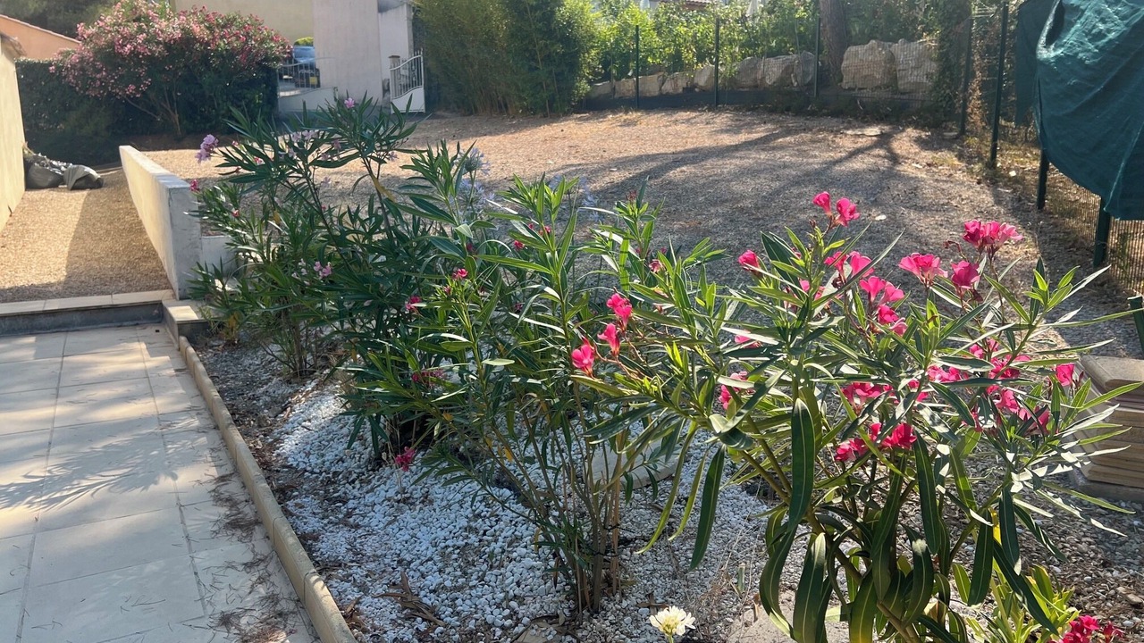 Photo of Outdoor in Pont Royal