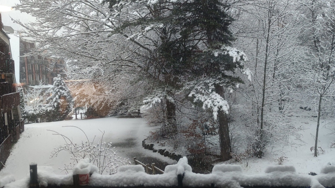 Photo of Outdoor in Montclar