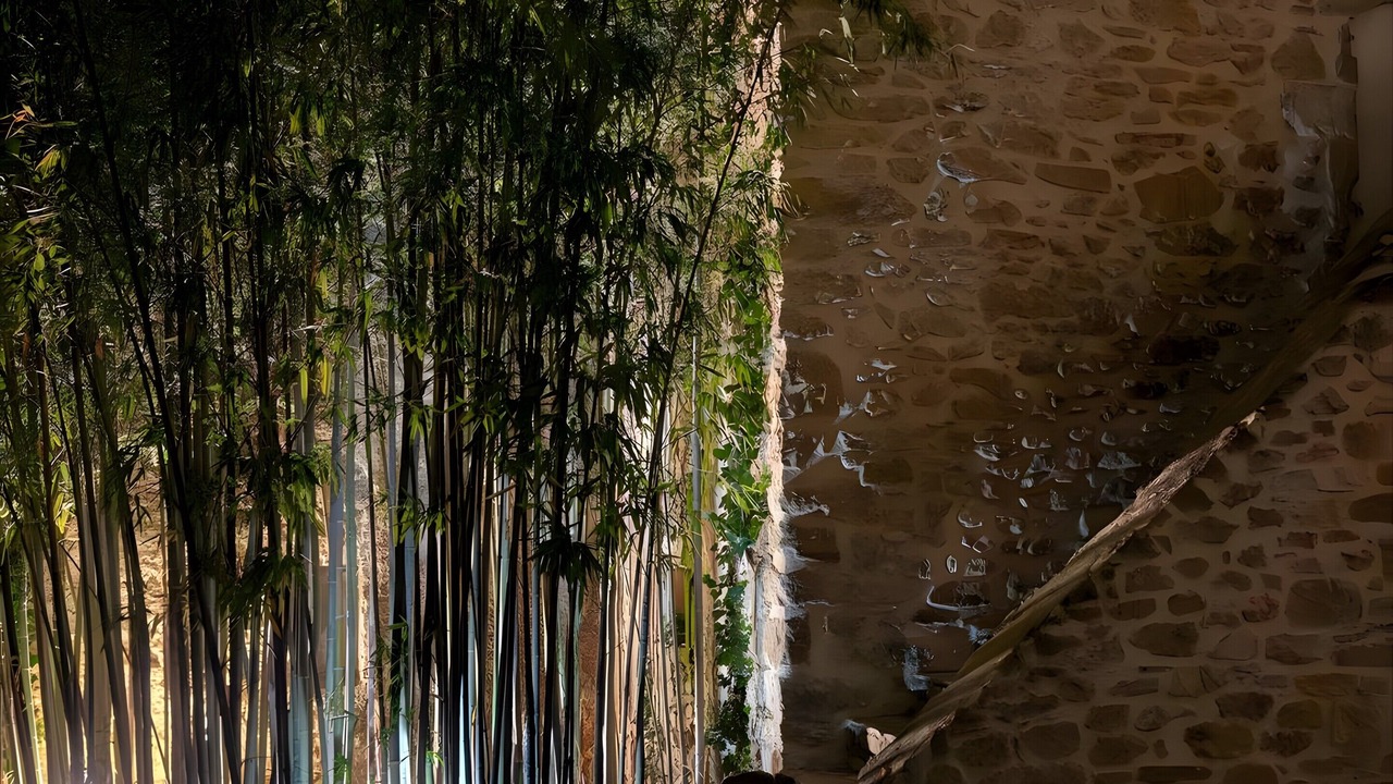 Photo of Outdoor in Saint Michel d'Euzet