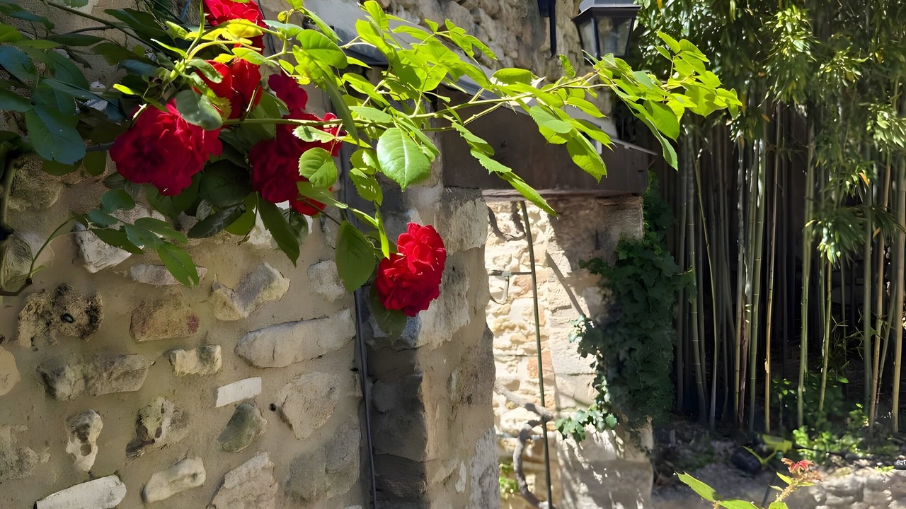 Photo of Outdoor in Saint Michel d'Euzet
