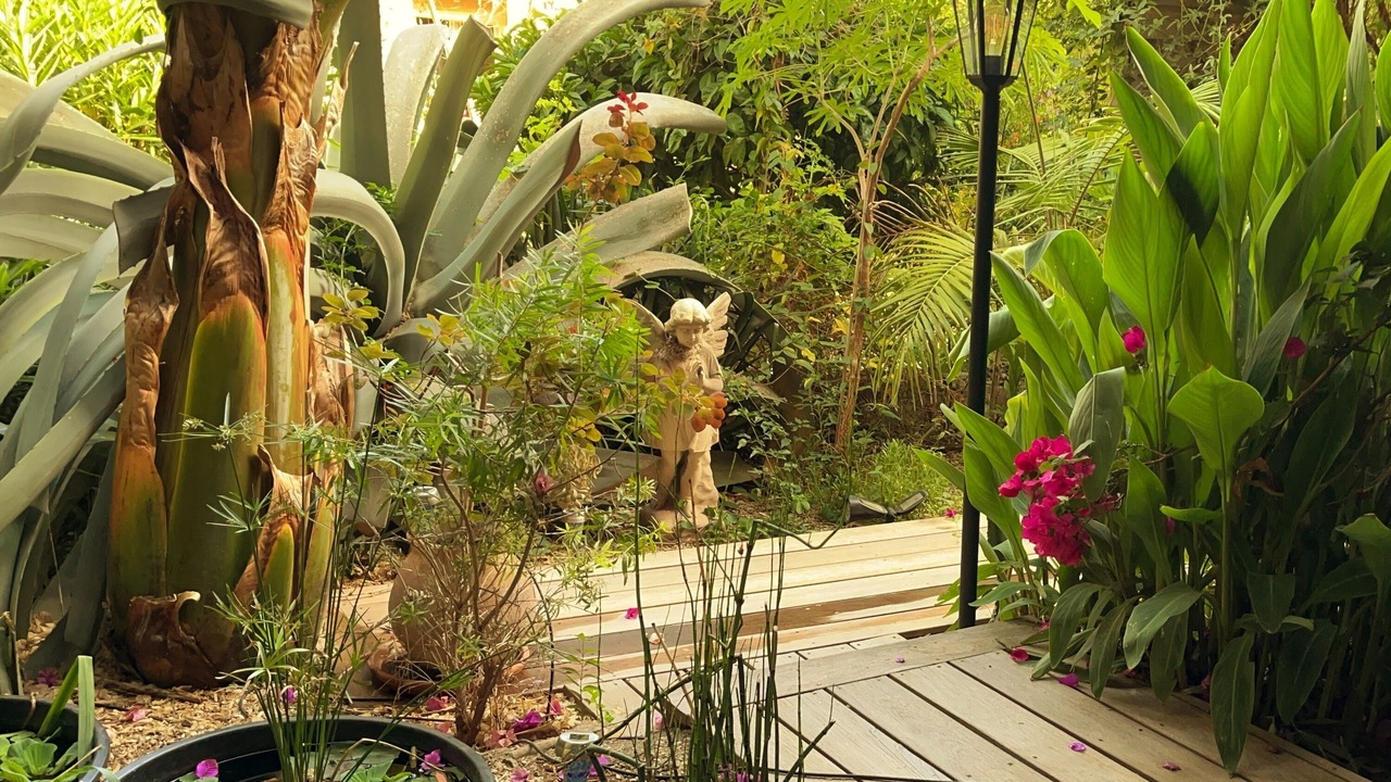 Photo of Outdoor in Marseille