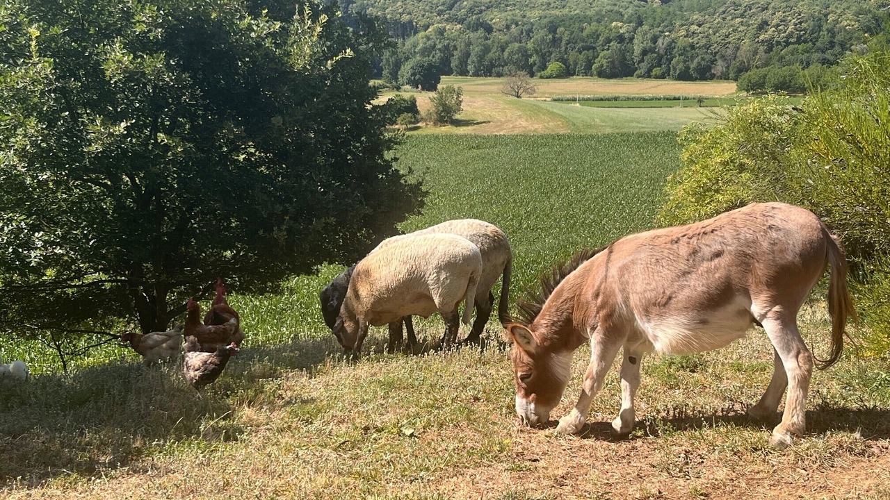 Photo of Others in Murinais