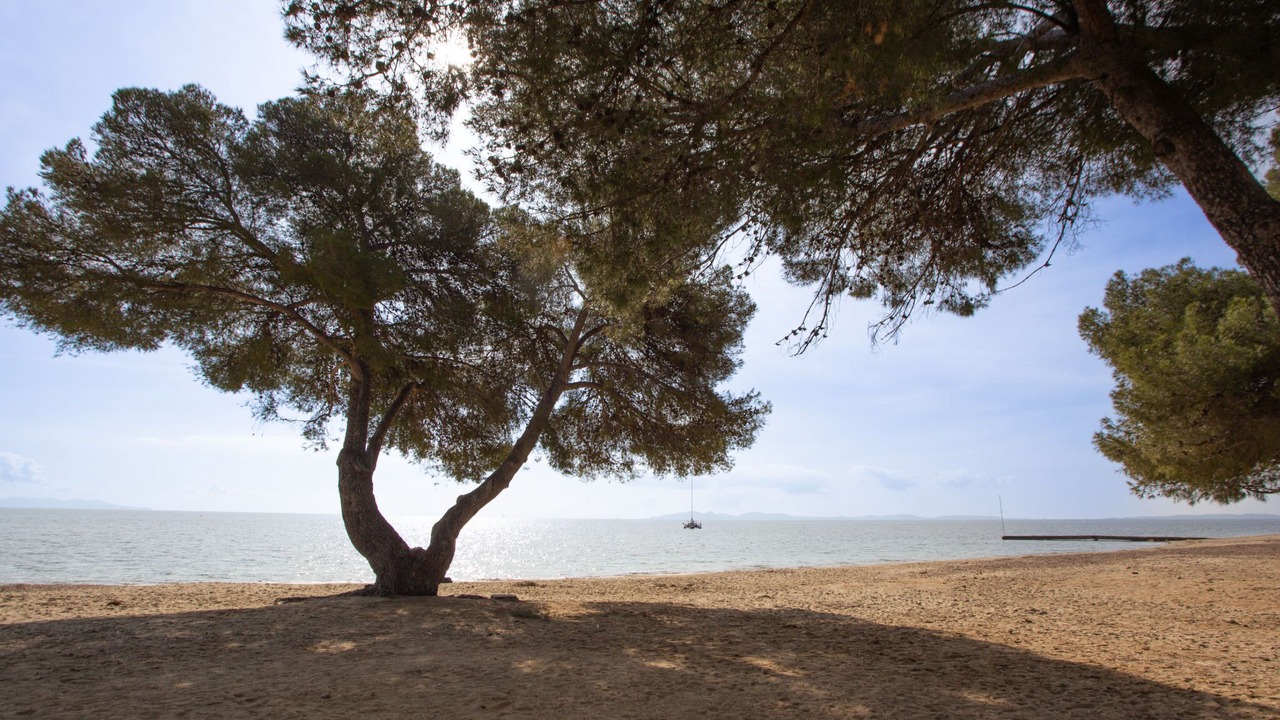 Photo of Others in Les Bormettes