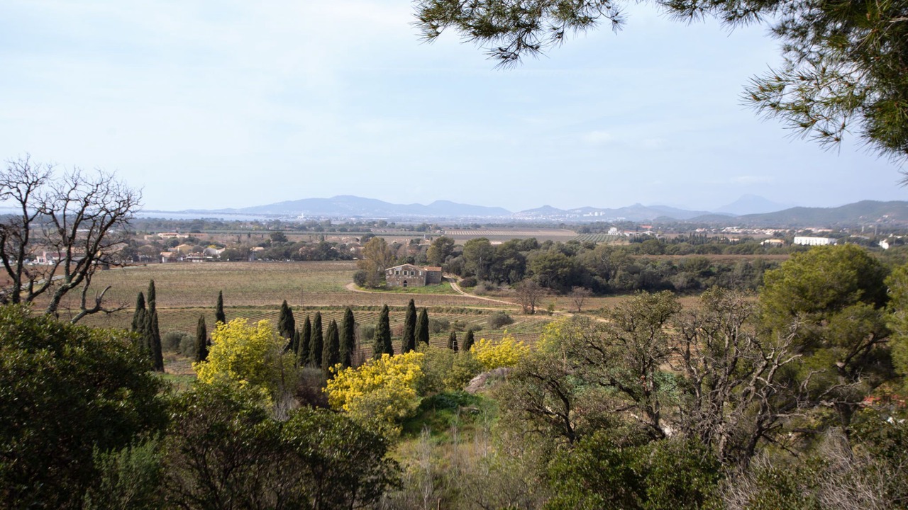 Photo of Others in Les Bormettes