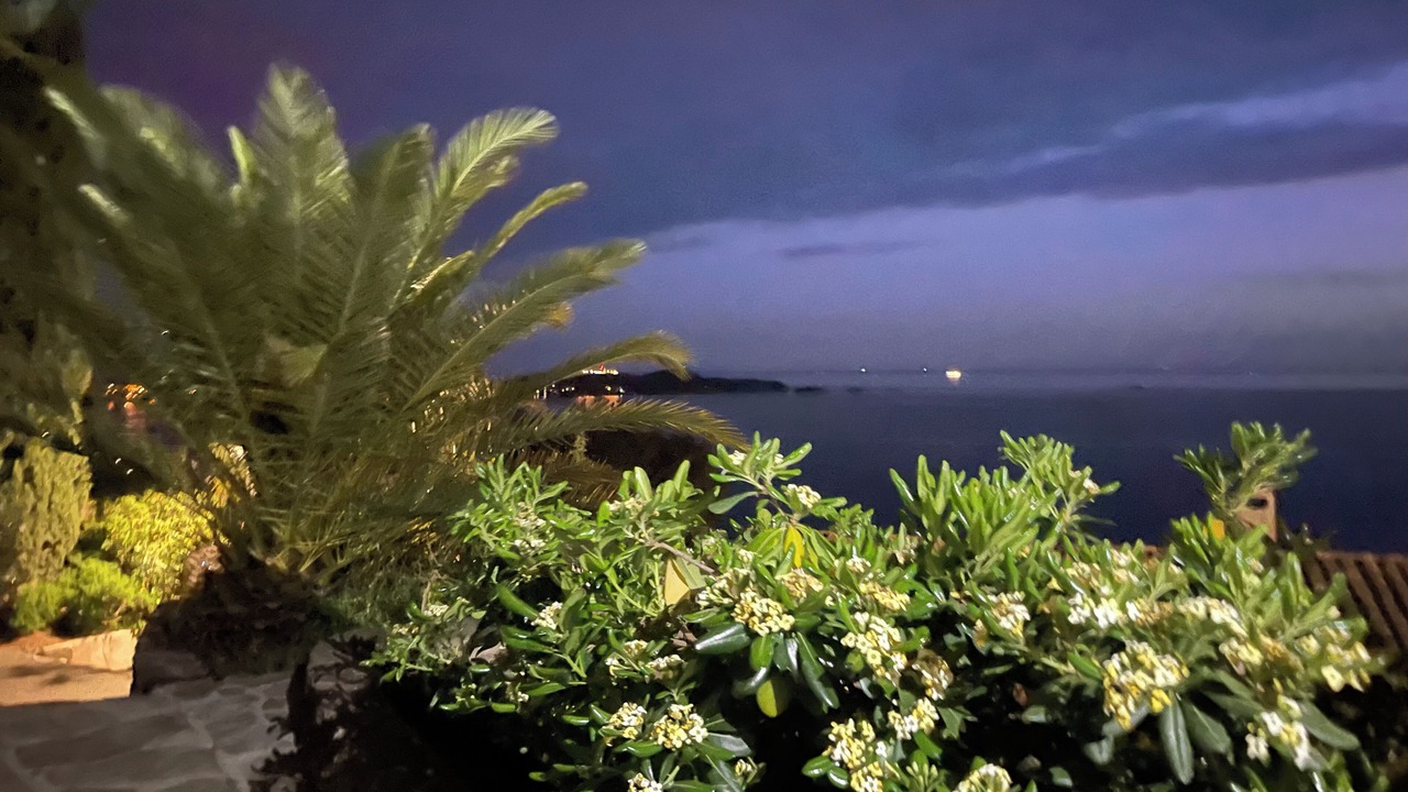 Photo of Outdoor in Carqueiranne