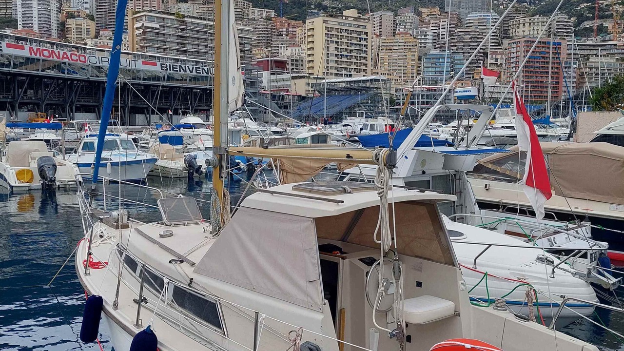 Photo of Others in Port Hercule