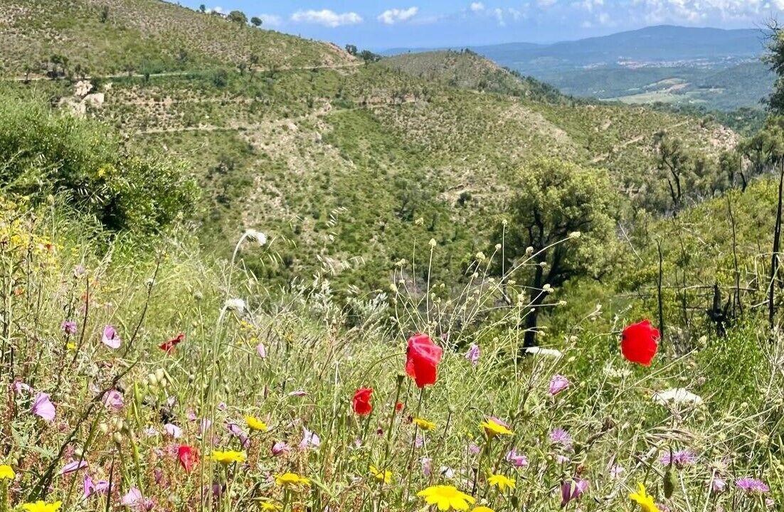 Photo of Outdoor in La Garde-Freinet