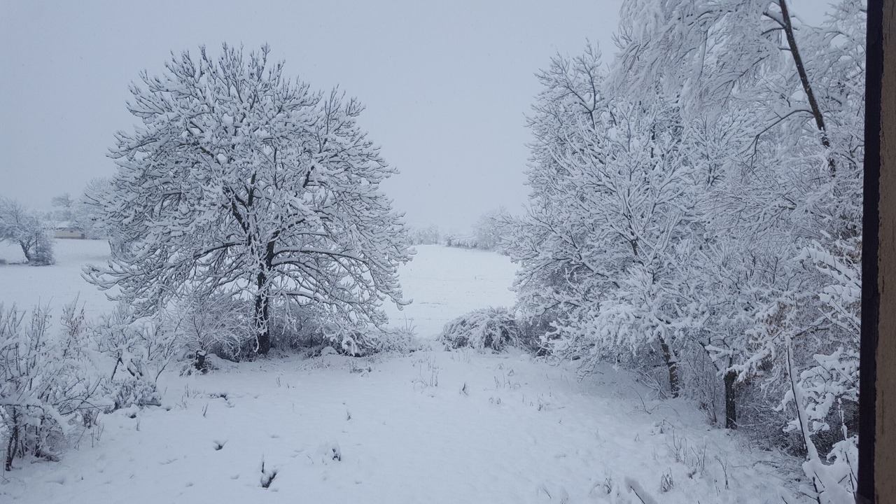 Photo of Others in Forest-Saint-Julien