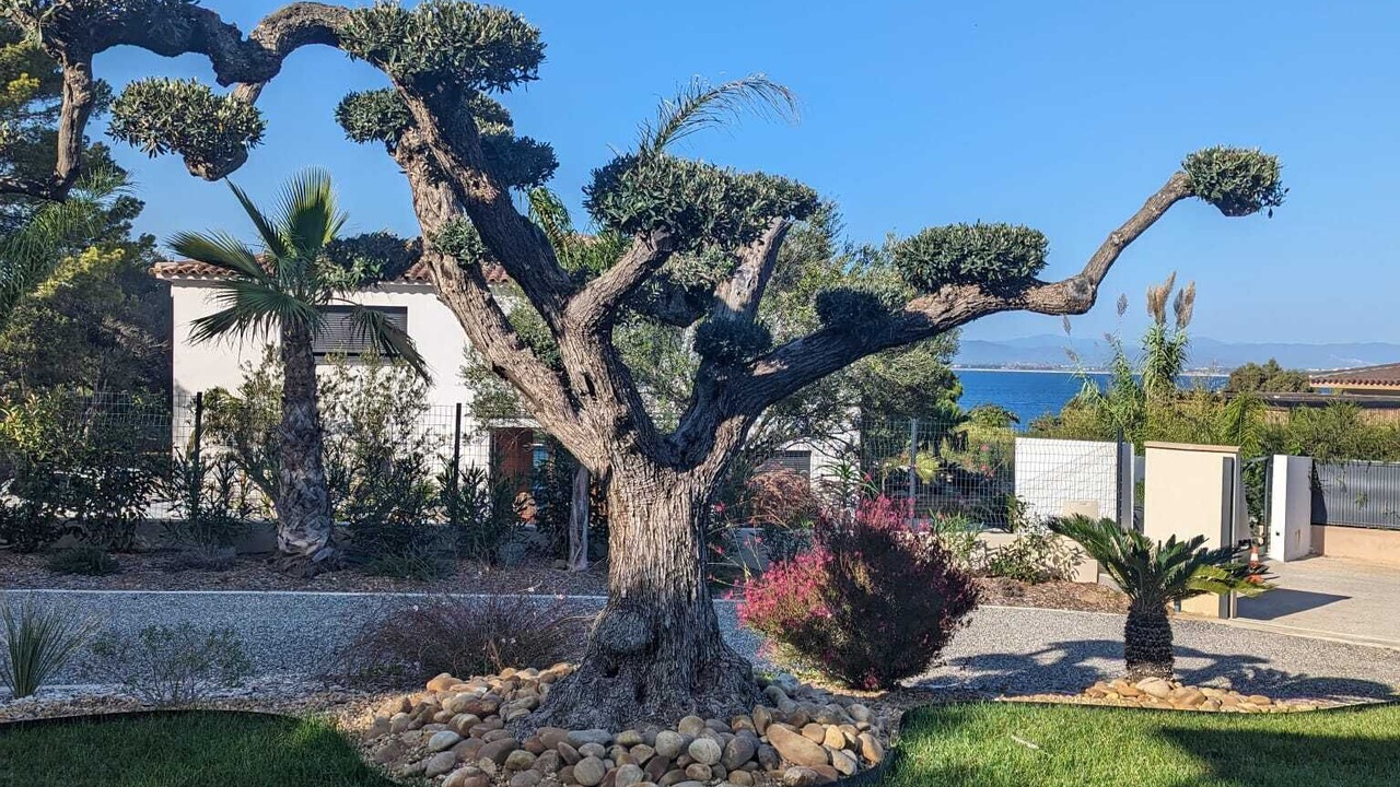 Photo of Outdoor in Giens