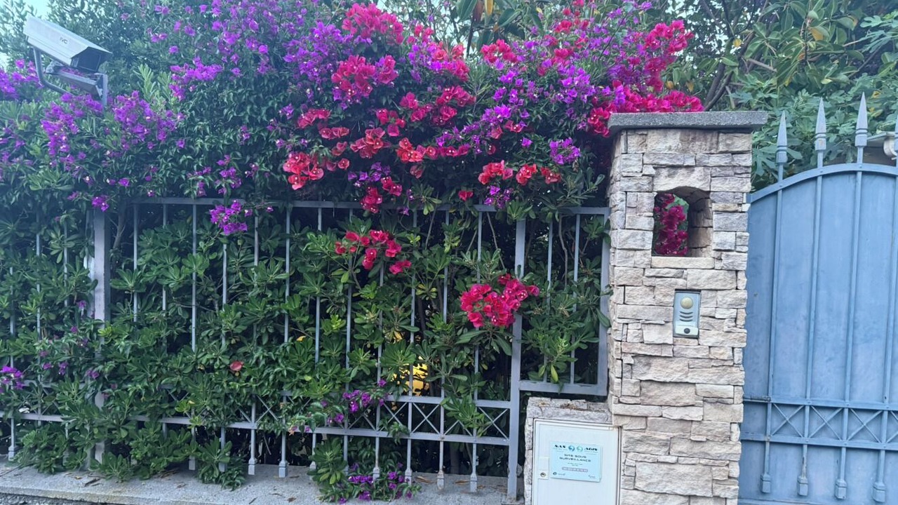Photo of Outdoor in Cap-d'Antibes