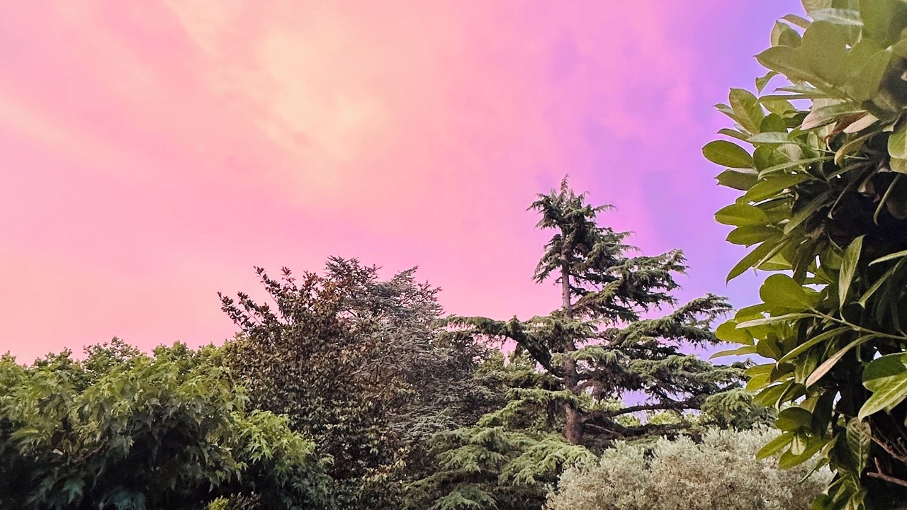 Photo of Outdoor in Eygalieres
