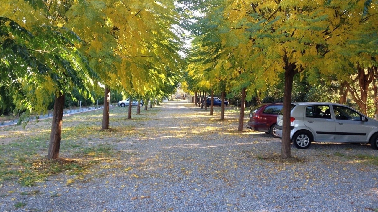 Photo of Outdoor in Saint-Just