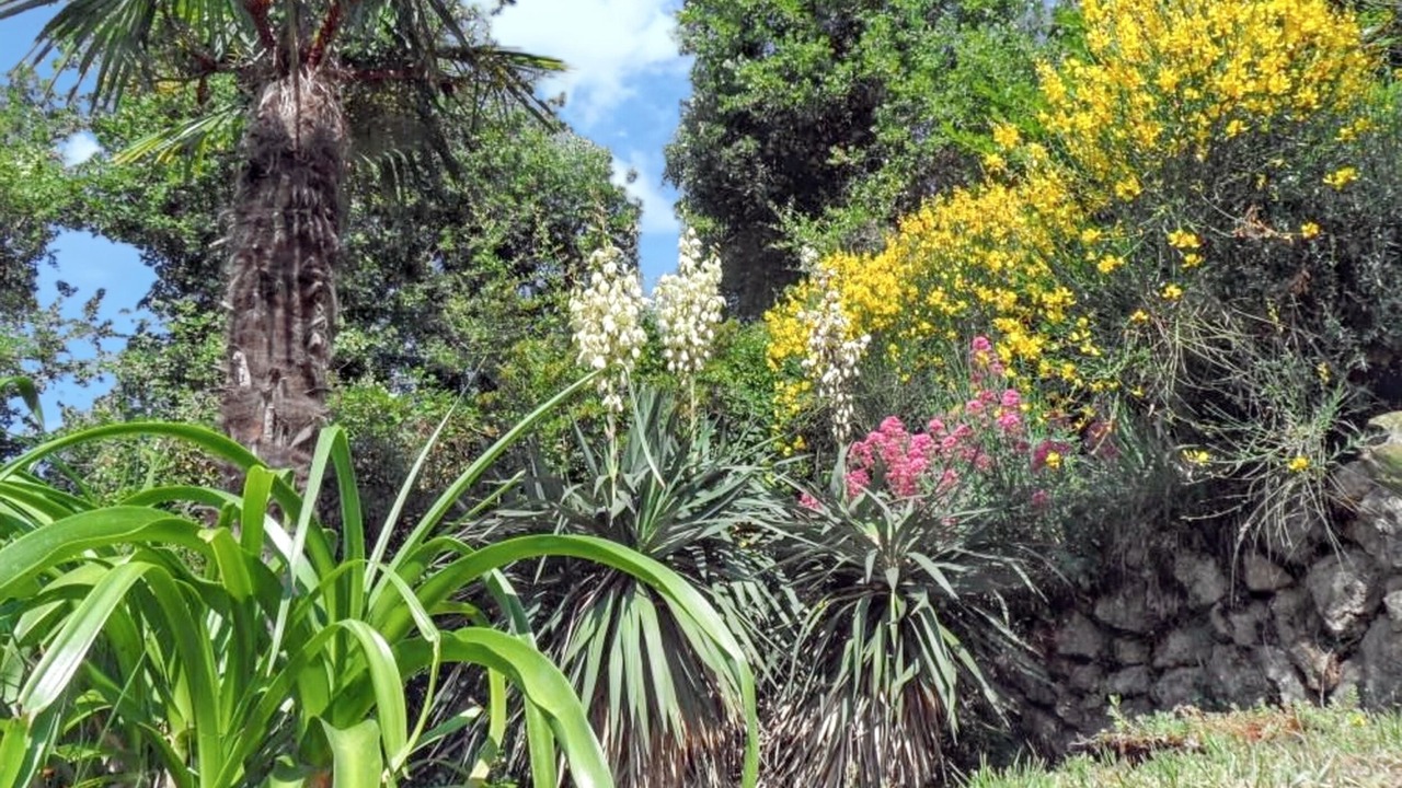 Photo of Outdoor in Chateauneuf-Grasse