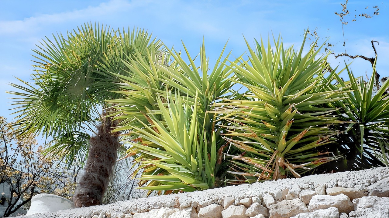 Photo of Outdoor in Chateauneuf-Grasse