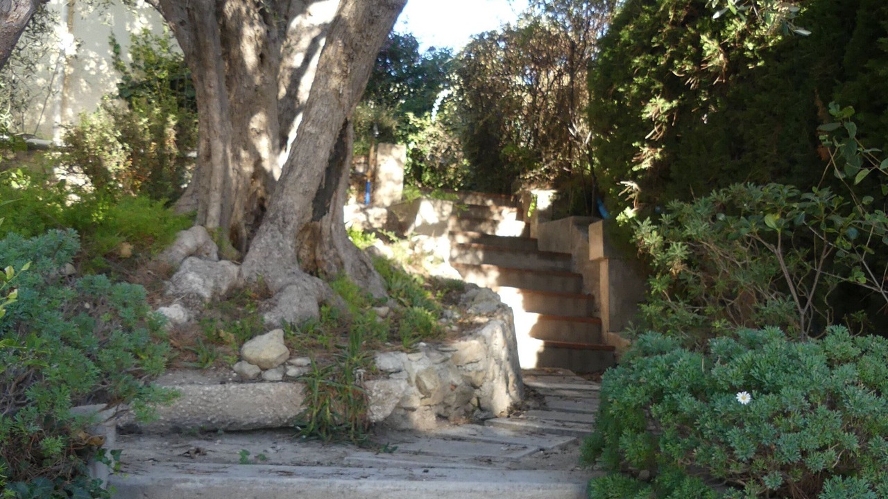 Photo of Outdoor in Beaulieu-sur-Mer