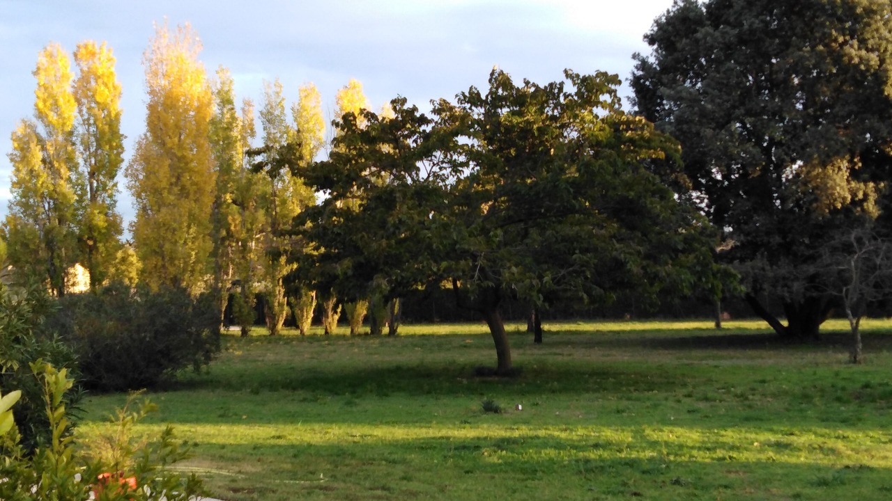 Photo of Outdoor in Aubignan