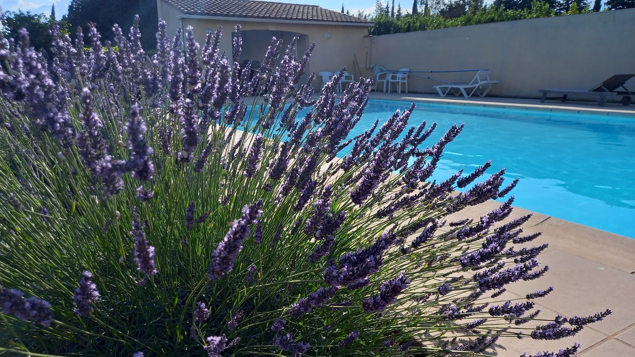 Photo of Outdoor in Aubignan