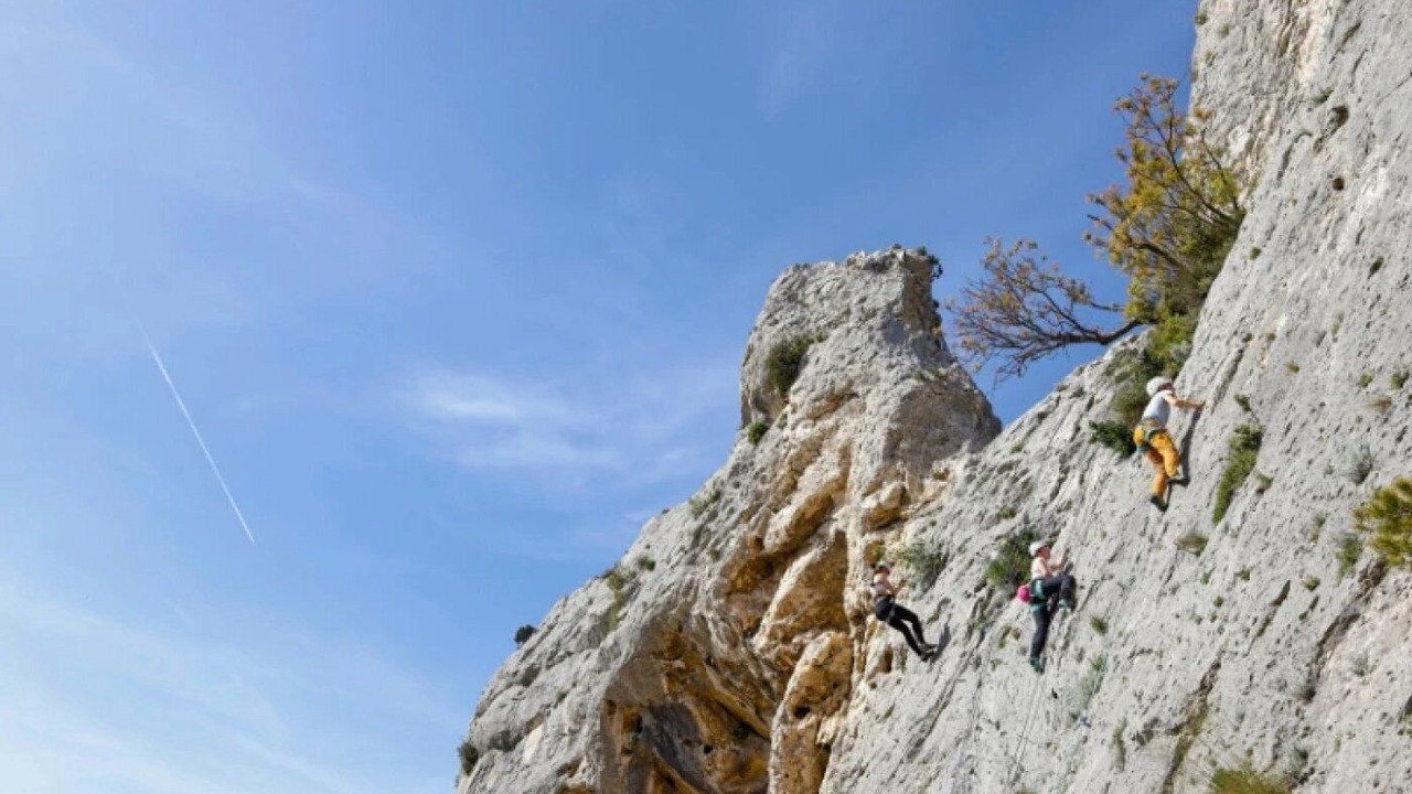 Photo of Others in Orgon