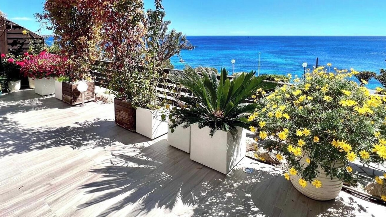 Photo of Outdoor in California - Pezou