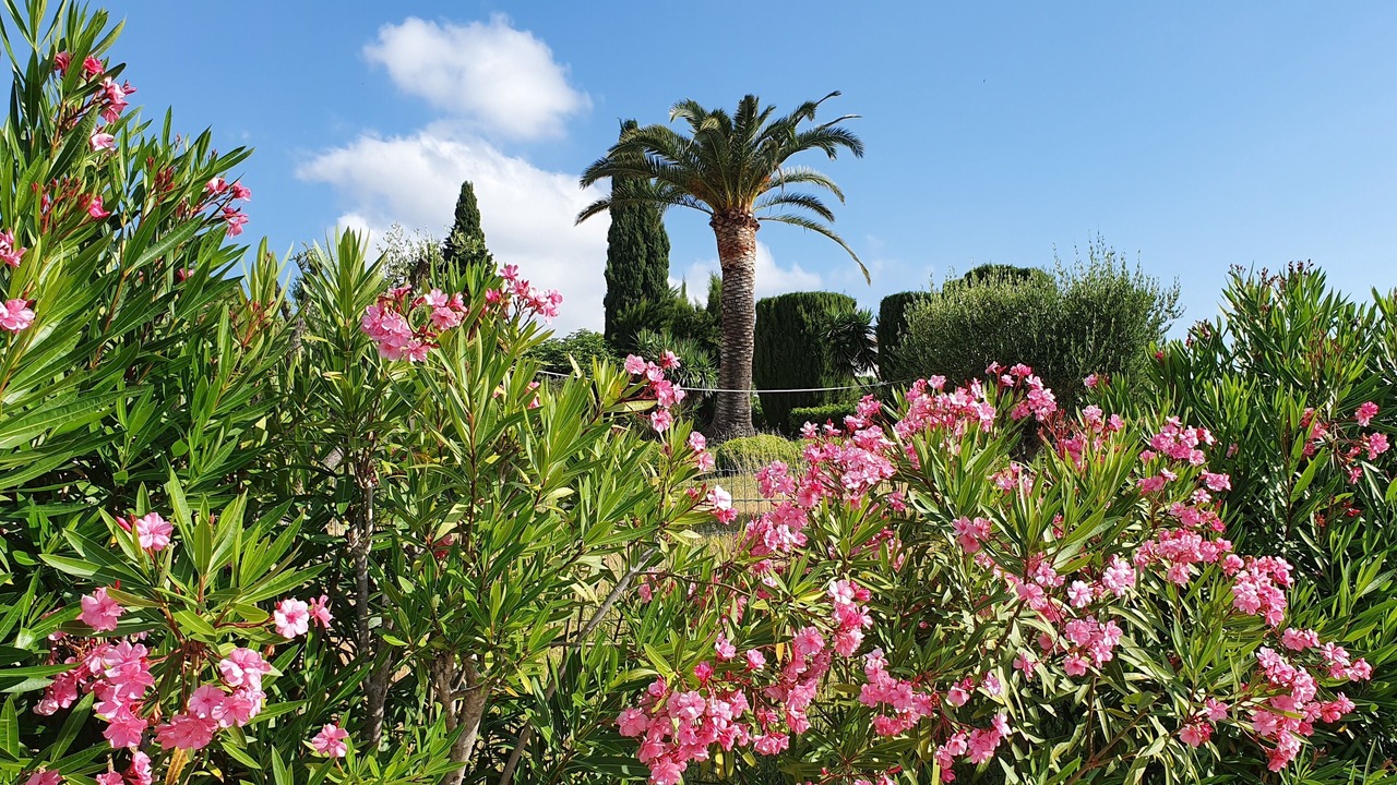 Photo of Outdoor in Biot