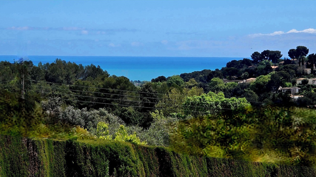 Photo of Others in Biot