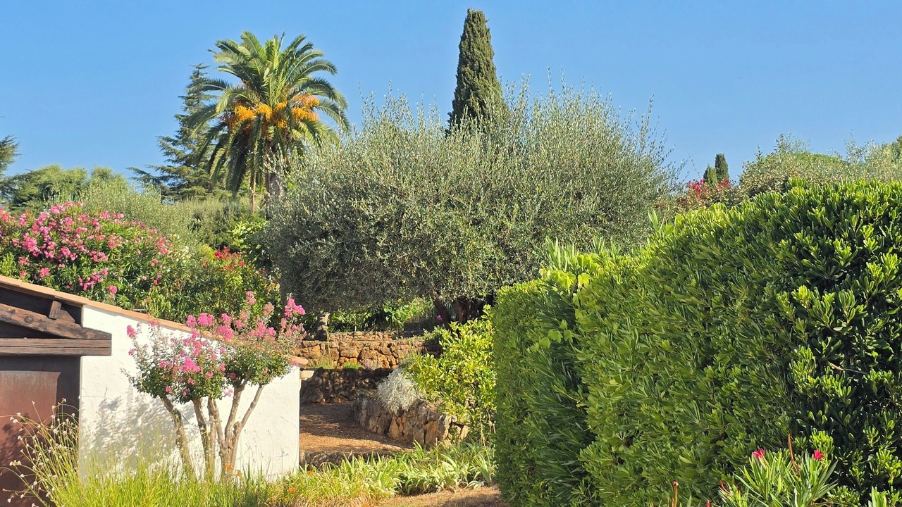 Photo of Outdoor in Biot