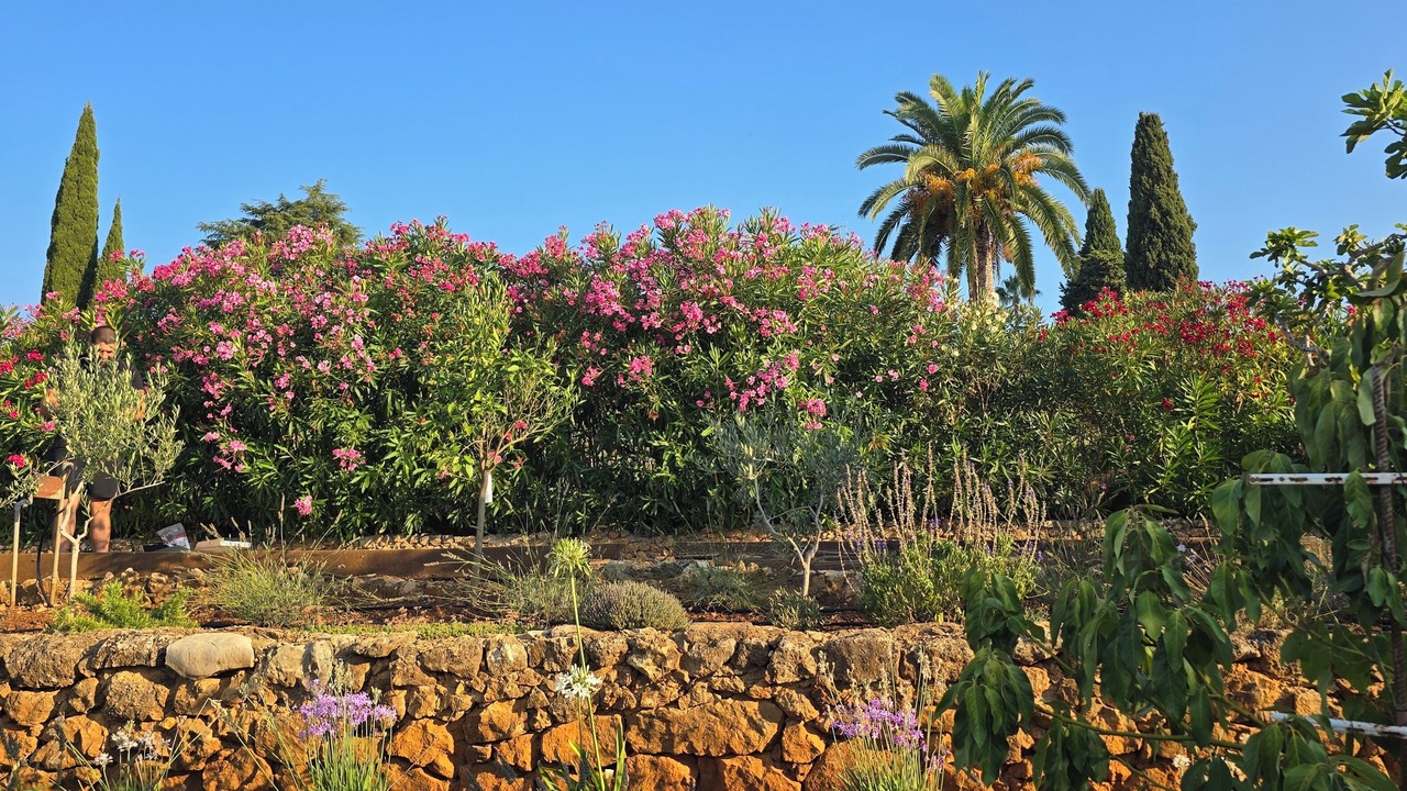 Photo of Outdoor in Biot