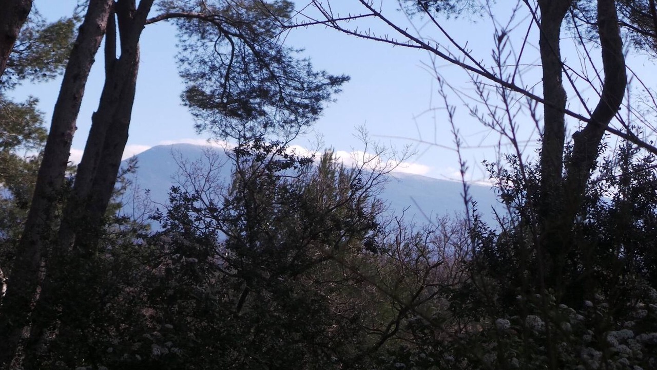Photo of Others in Aubignan