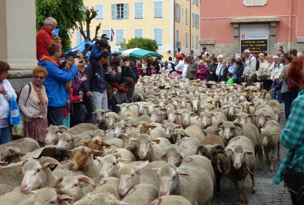 Photo of Others in Saint-Etienne-de-Tinee