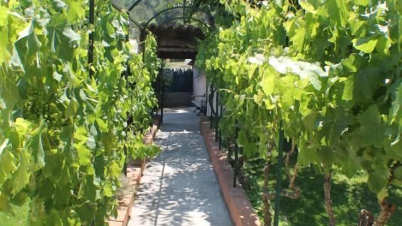 Photo of Outdoor in Contes