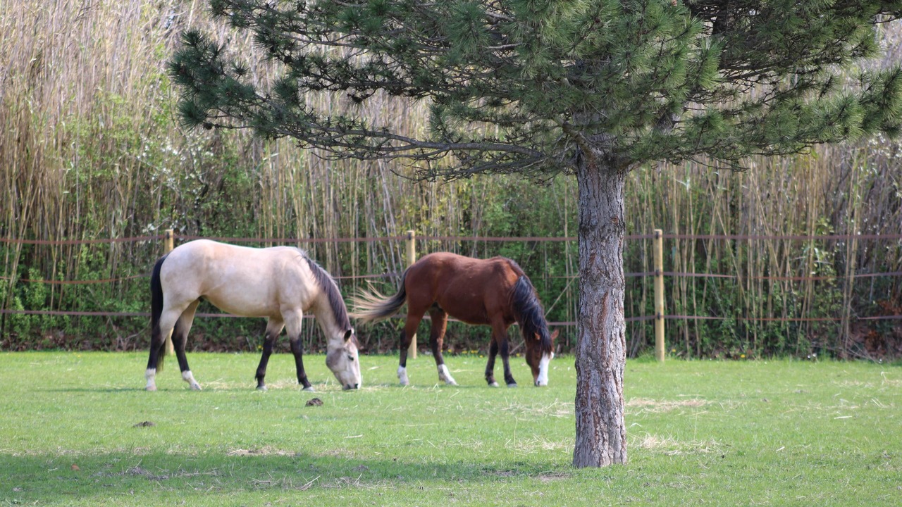 Photo of Others in Chateaurenard