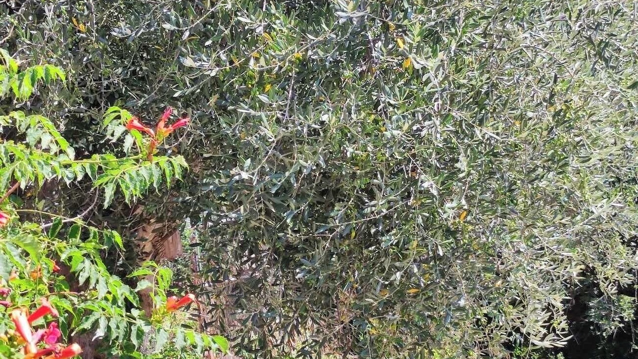 Photo of Outdoor in Bendejun