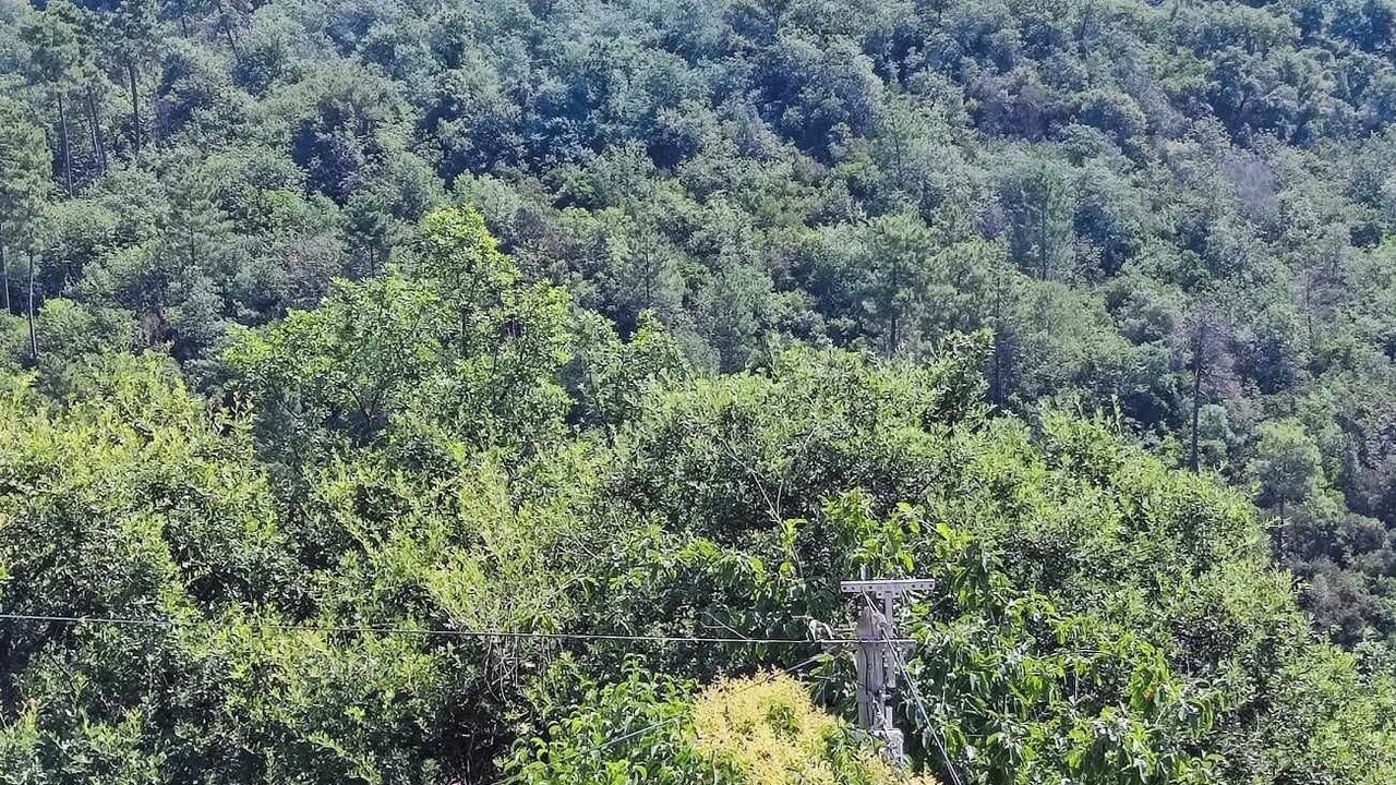 Photo of Others in Bendejun