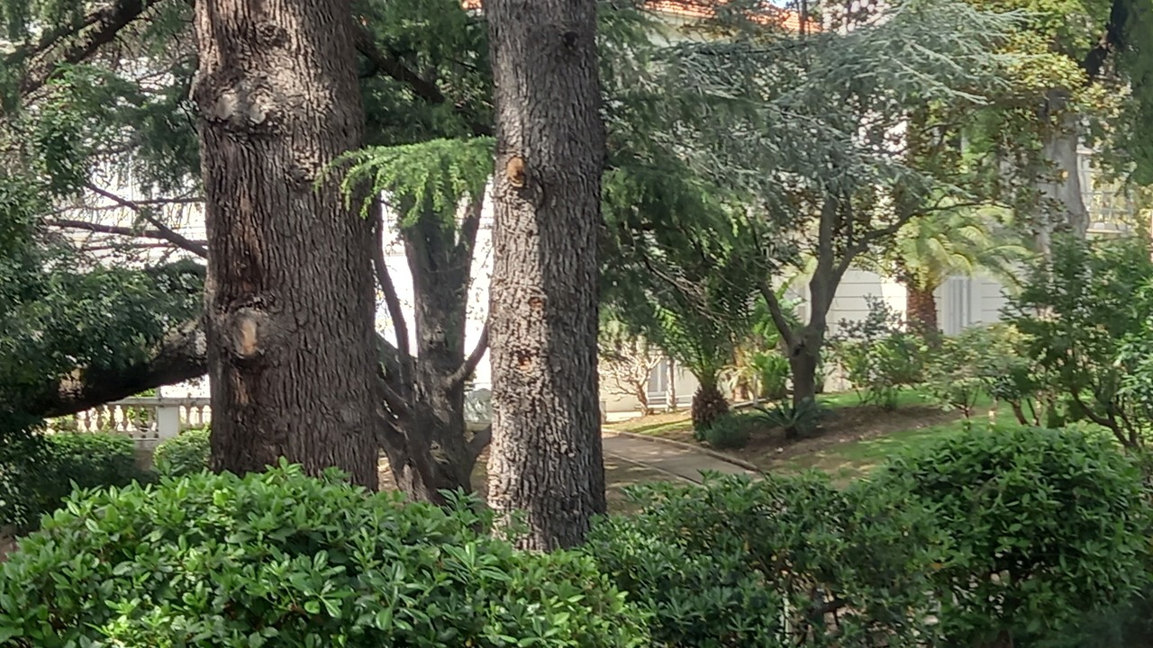 Photo of Outdoor in La Croix des Gardes