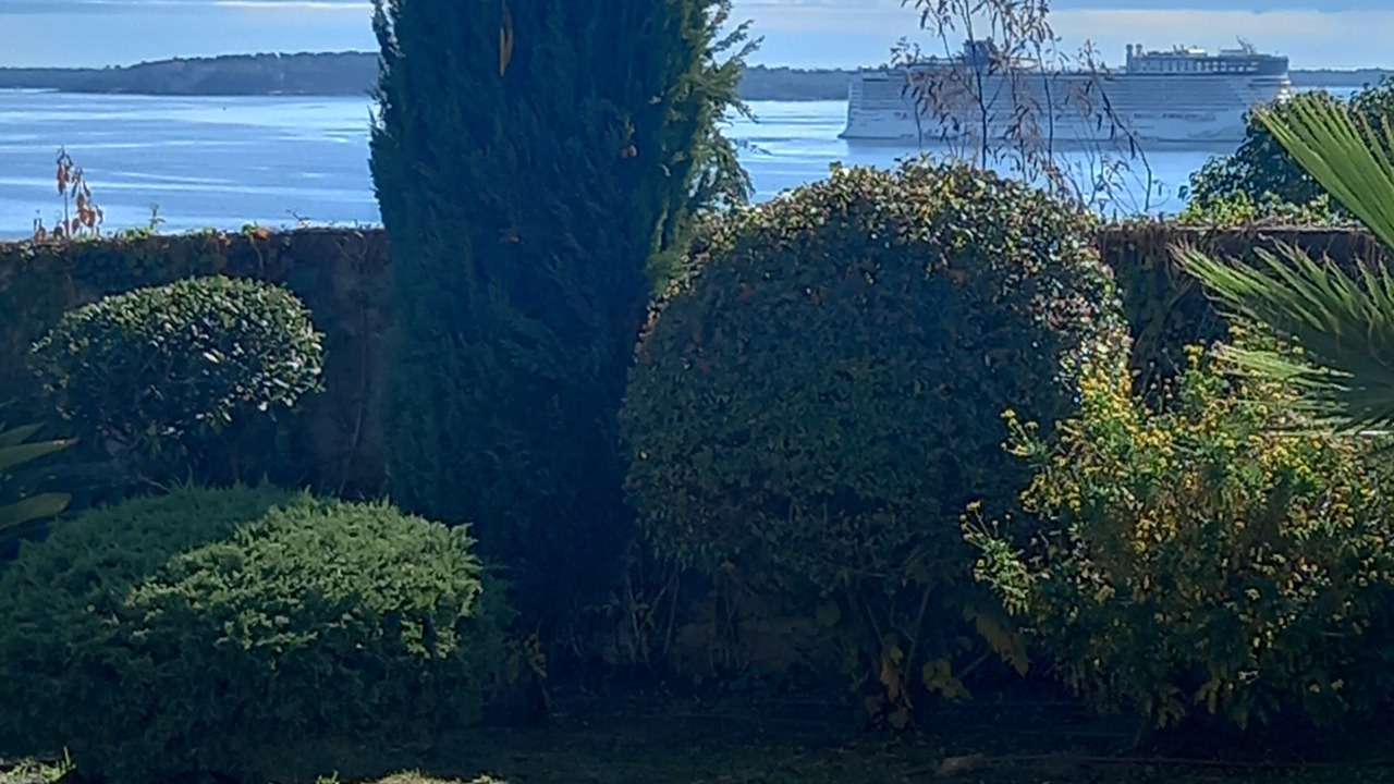 Photo of Outdoor in La Croix des Gardes