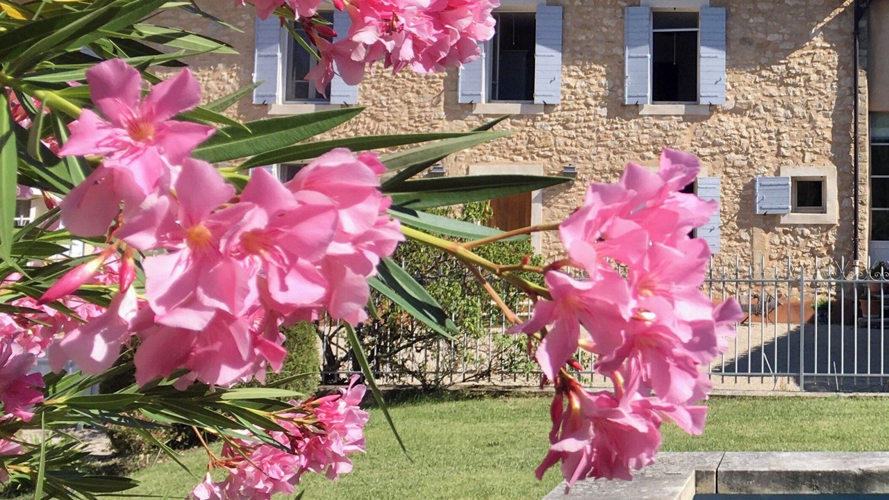 Photo of Outdoor in Malaucene