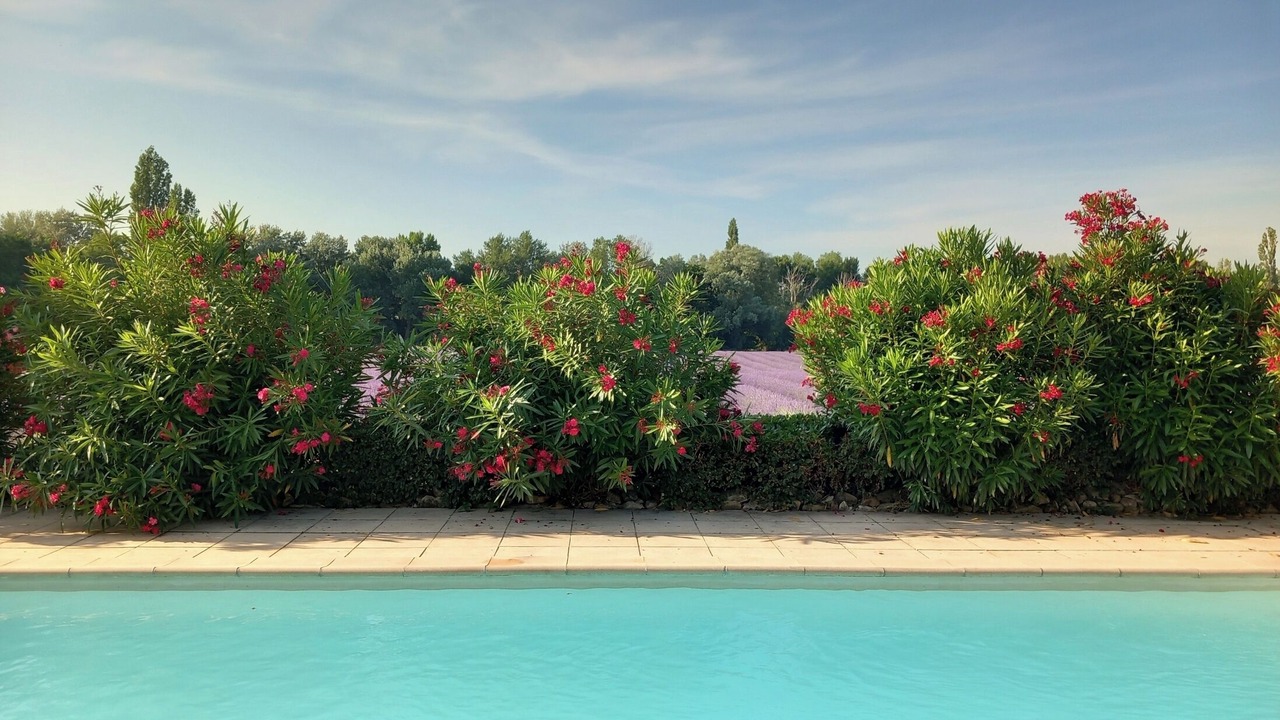 Photo of Outdoor in Valreas