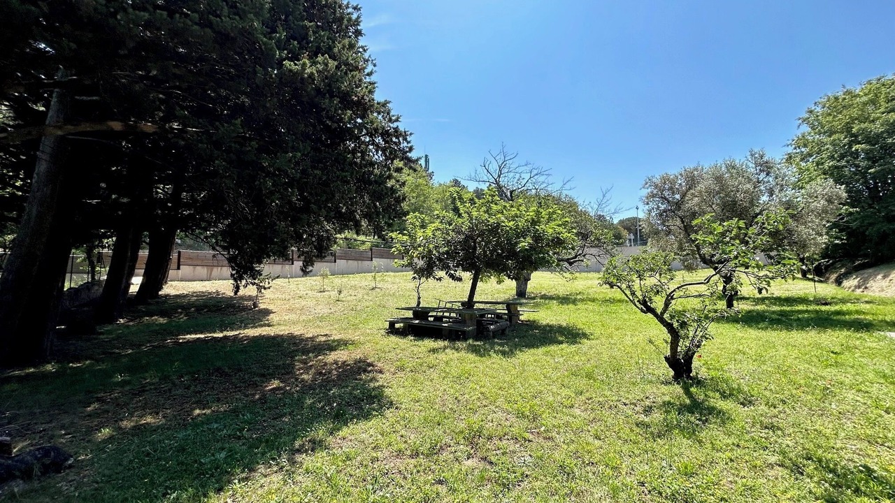 Photo of Outdoor in La Garde-Freinet