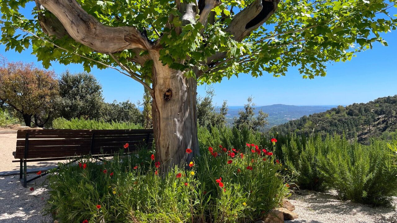 Photo of Outdoor in La Garde-Freinet