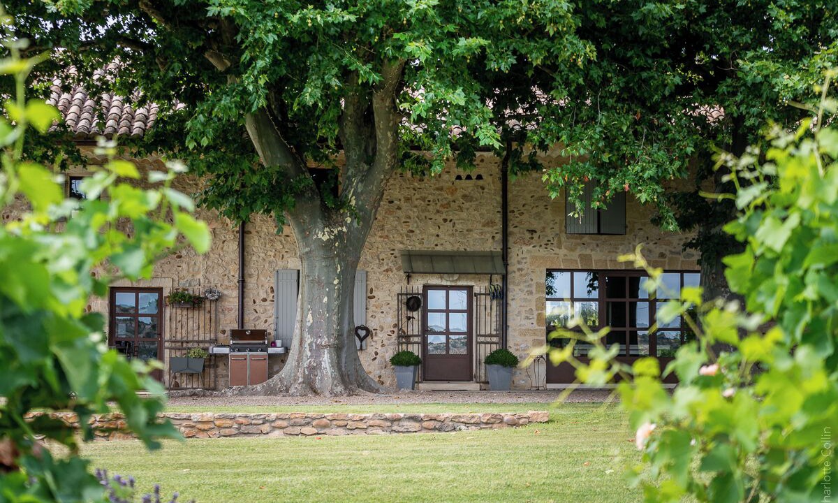 Photo of Outdoor in Roquemaure