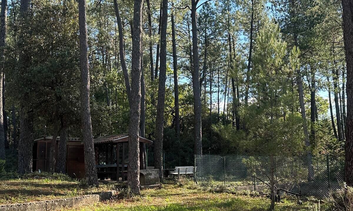 Photo of Outdoor in Bedoin
