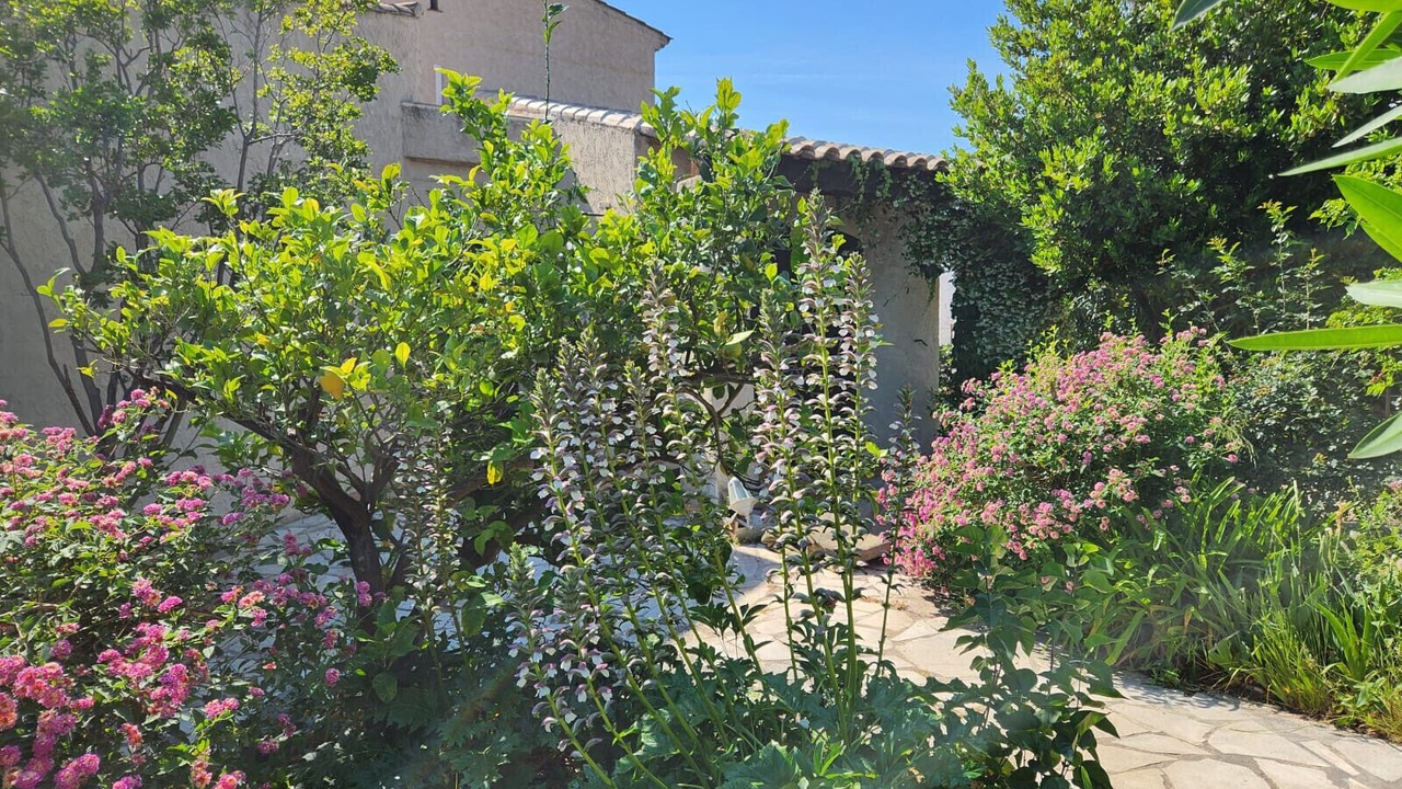Photo of Outdoor in La Ciotat