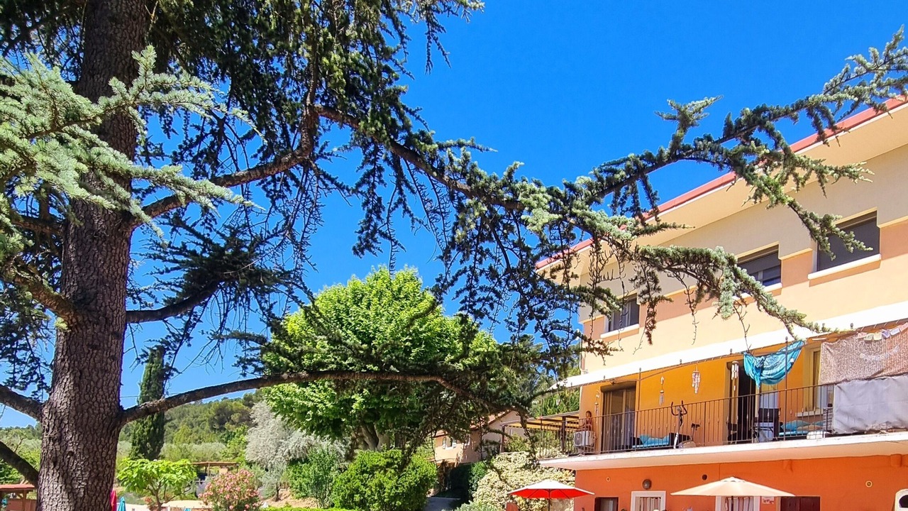 Photo of Outdoor in Villelaure