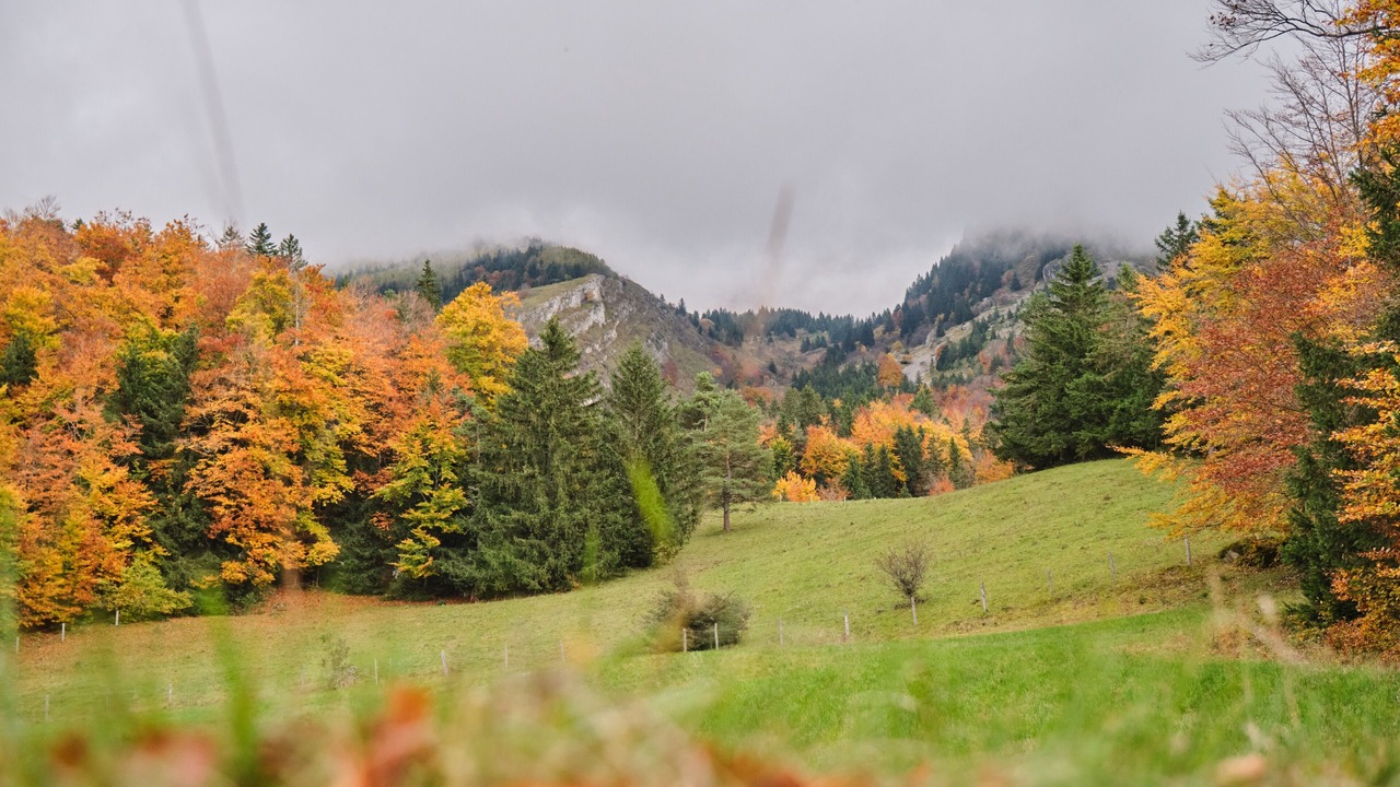 Photo of Others in Villard-de-Lans