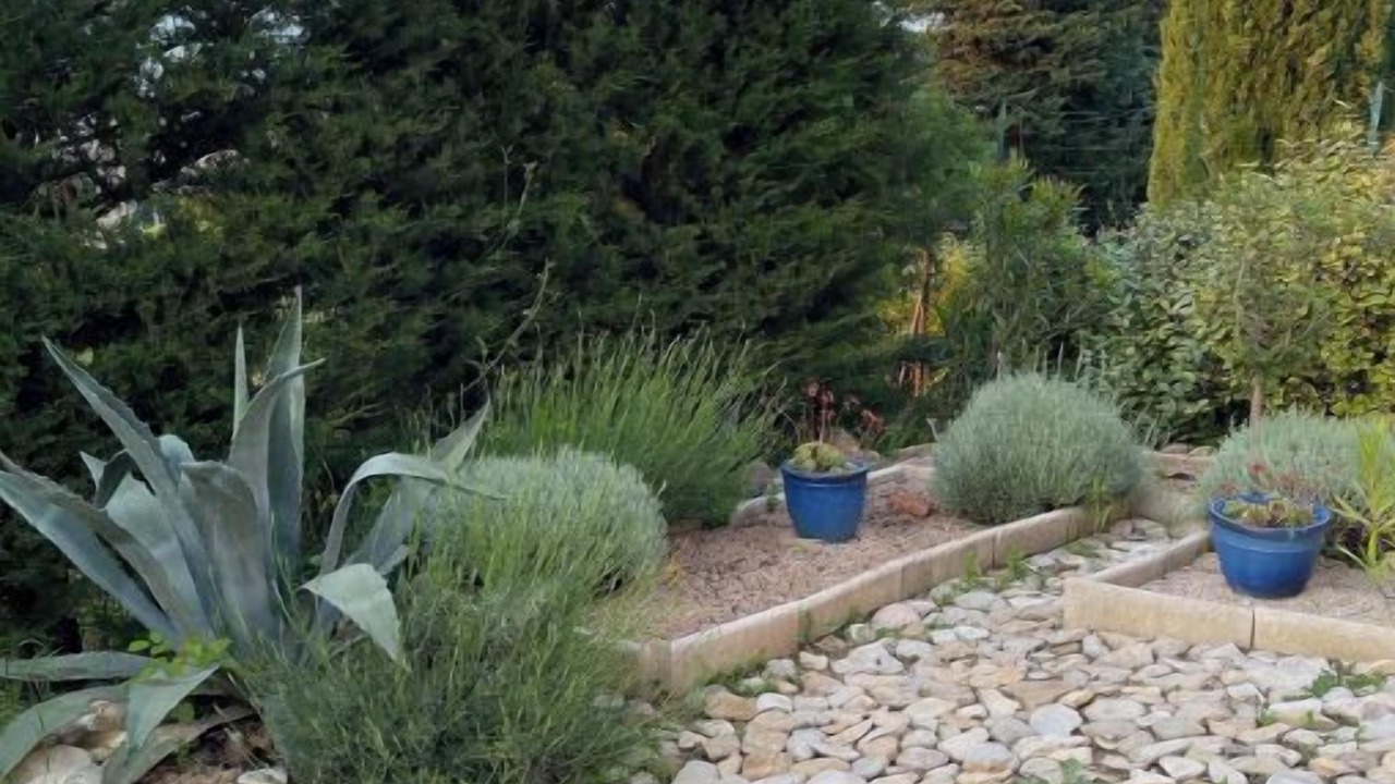 Photo of Outdoor in Violes