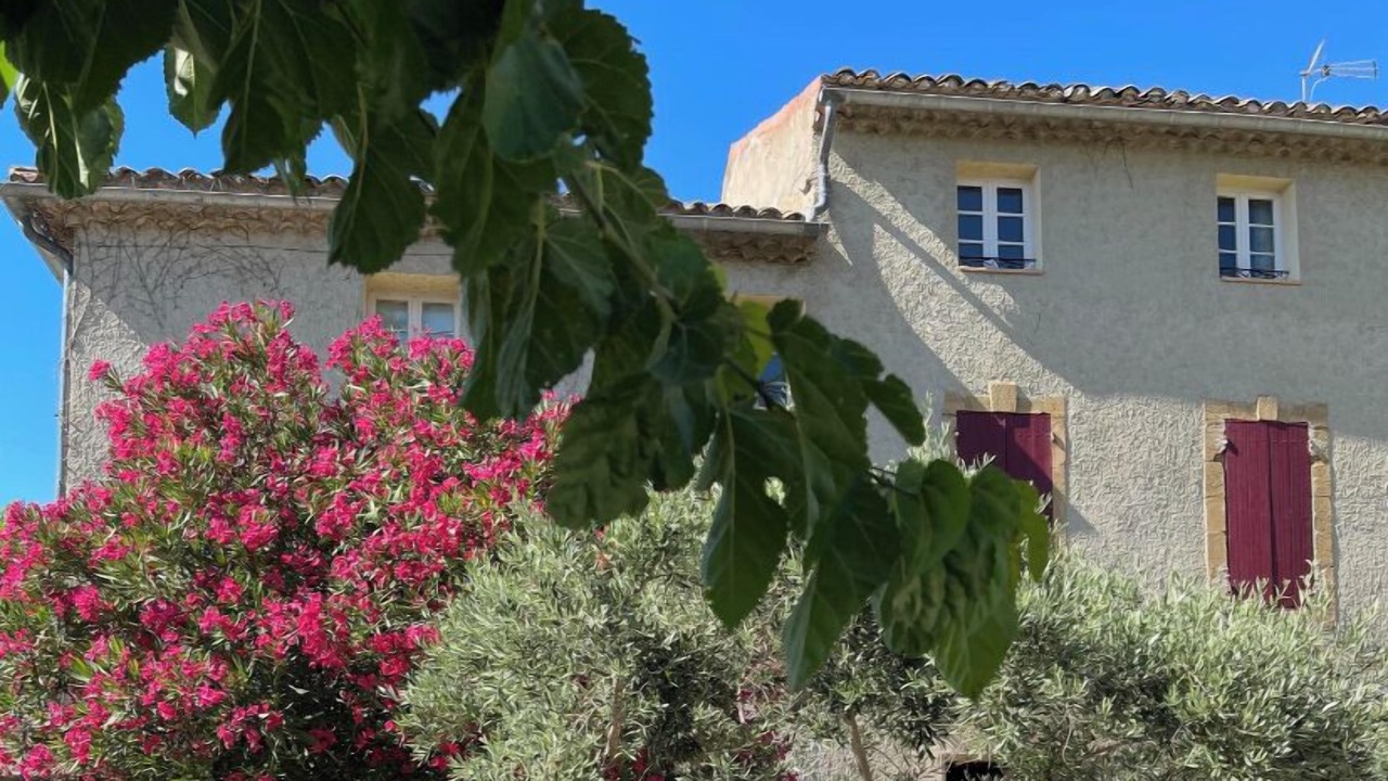 Photo of Outdoor in Violes