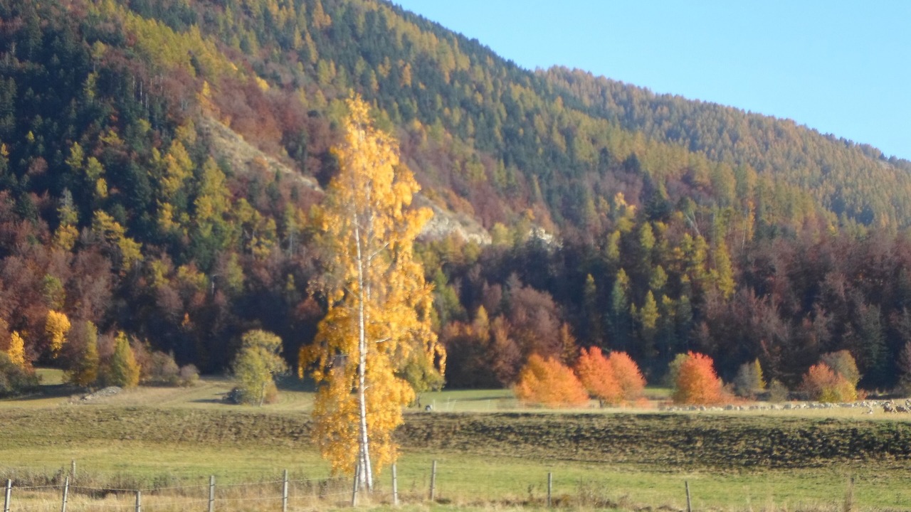 Photo of Others in Ancelle