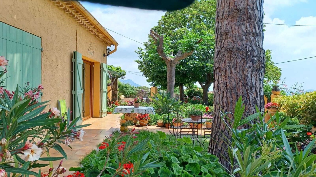 Photo of Outdoor in Ollioules