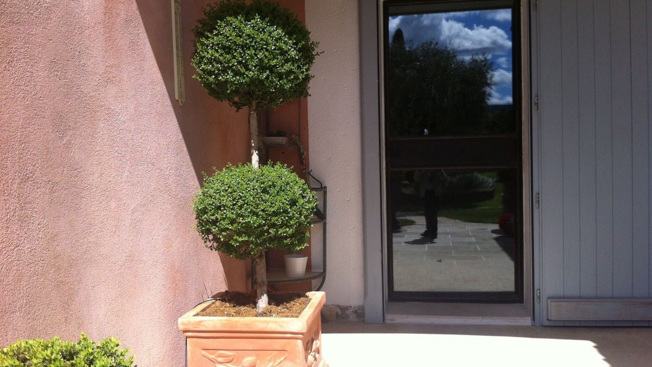 Photo of Outdoor in Menerbes